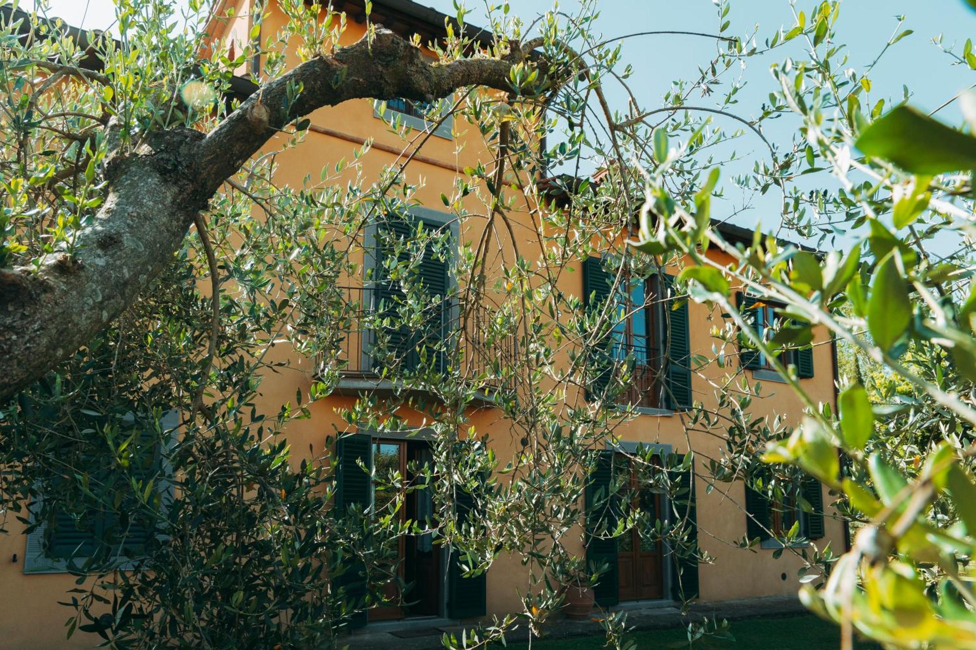 Agriturismo Il Borgo Cortona Luaran gambar